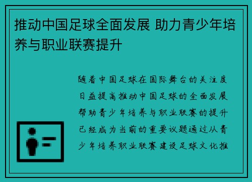 推动中国足球全面发展 助力青少年培养与职业联赛提升