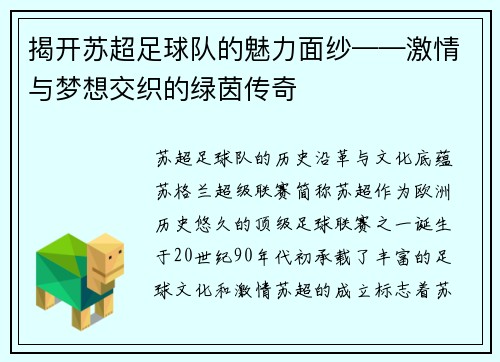 揭开苏超足球队的魅力面纱——激情与梦想交织的绿茵传奇