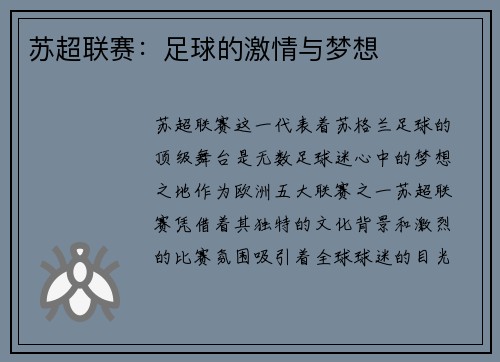 苏超联赛：足球的激情与梦想