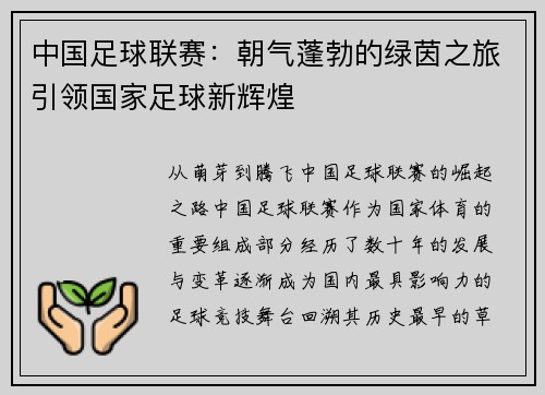 中国足球联赛：朝气蓬勃的绿茵之旅引领国家足球新辉煌