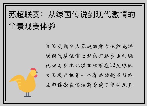 苏超联赛：从绿茵传说到现代激情的全景观赛体验