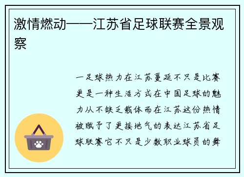 激情燃动——江苏省足球联赛全景观察